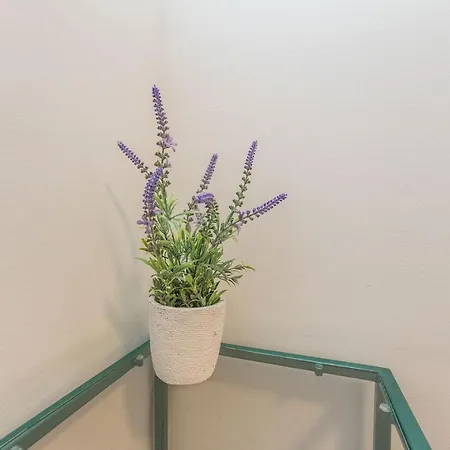 Saluto Al Sole Apartamento *