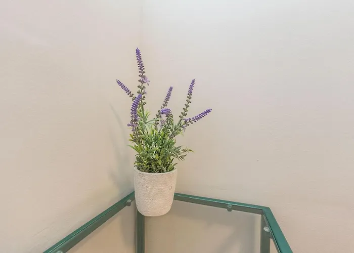 Saluto Al Sole Apartment *